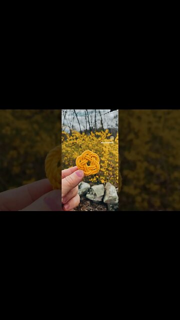 The colors of spring 🌺🌼🌸