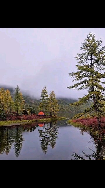 💛 Beautiful autumn at Jack London Lake