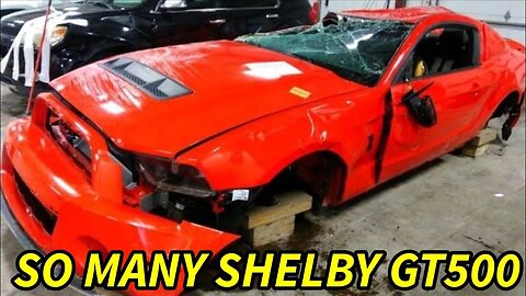 So Many GT500 Shelby Mustangs at IAA