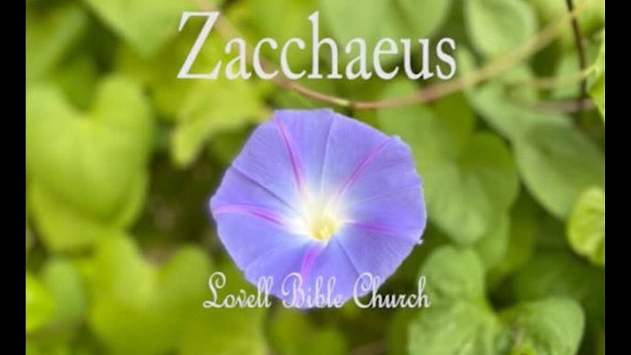 Zacchaeus