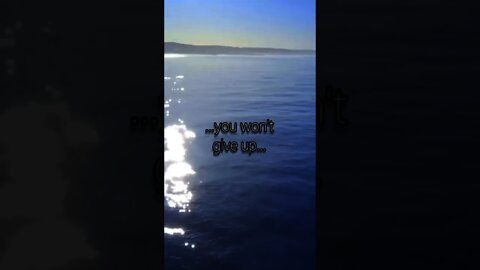 Stop for a second and listen..