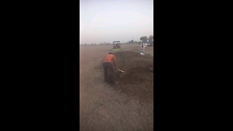 paddy planting