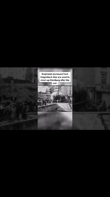 an interesting thing