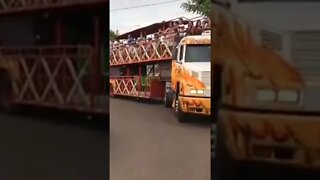 O MELHOR DA CARRETA DA ALEGRIA, DANÇANDO FOFÃO, CHAVES, HOMEM-ARANHA E PALHAÇO, LIKE