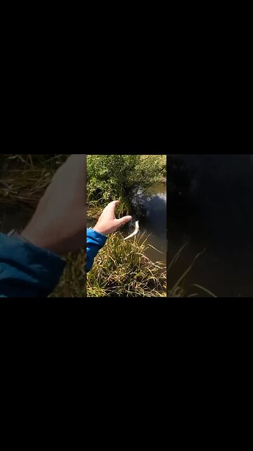 OUCH! Watch What Happens, Catching Fish, Getting Hooked