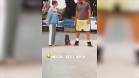 Funniest Animals Videos Best Cat sand Dogs Videos 2022!