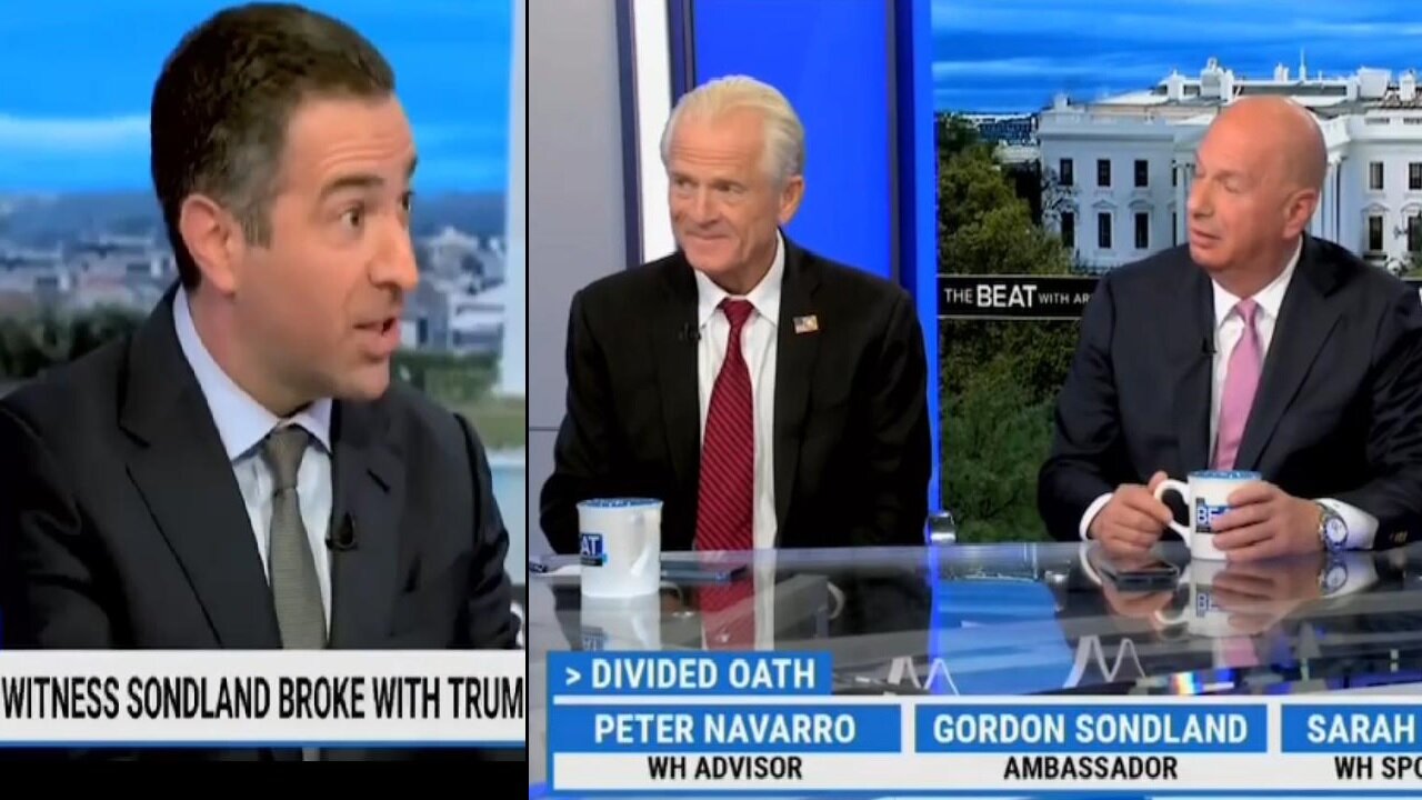 😂Watch Navarro's Face When Trump-hater Says He's Now a Huge Trump Supporter - NBC Ari Melber Melts Down