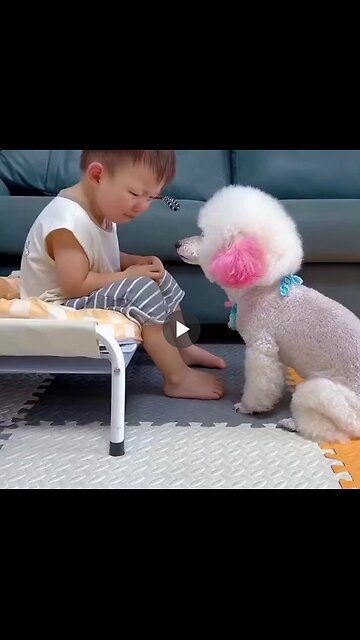 That's why dogs are our best friends.