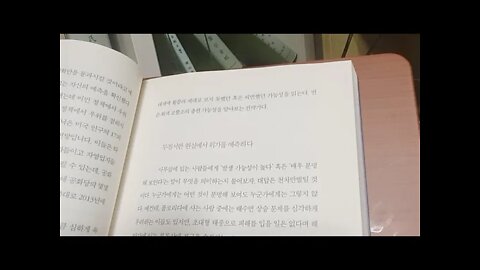 회색코뿔소가 온다, 미셀 부커, 발생가능성, 금융위기, 2008년,부채담보부증권,블랙스완,회색백조,프랙털