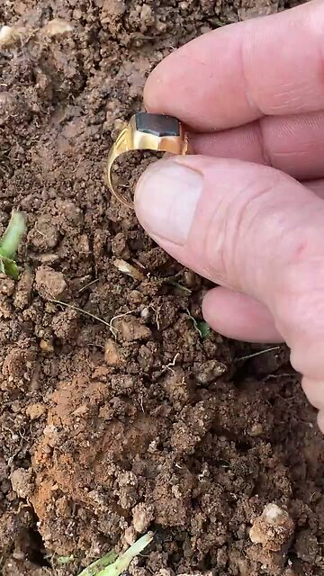 Stunning Solid Gold Ring With Blood Stone