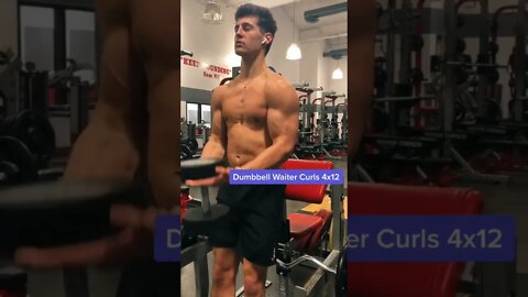 GREAT BICEP ROUTINE THAT WORKS 💪🏼