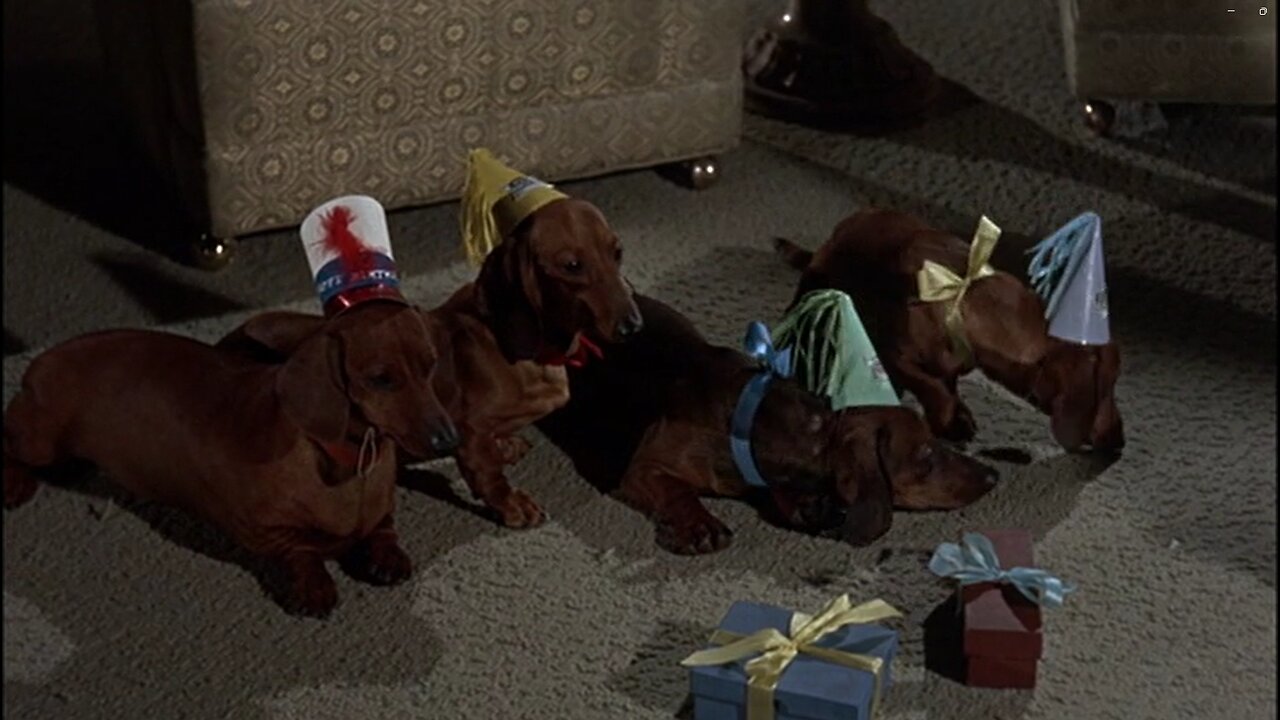 Walt Disney's The Ugly Dachshund (1966) Trailer