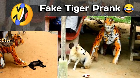 Fake Tiger 🐯 Prank To Dog 🐕| Funny Video 😂🤣