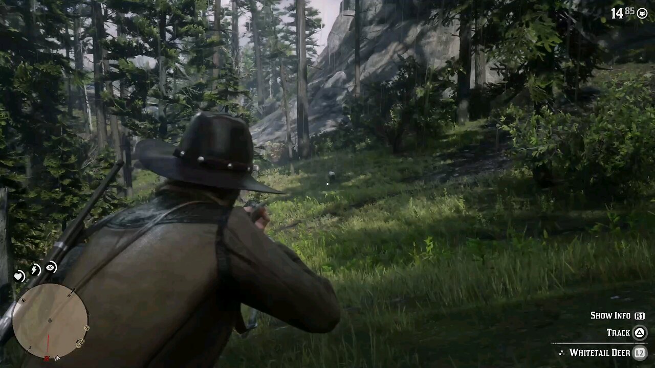 Hunting 13 - Red Dead Redemption 2