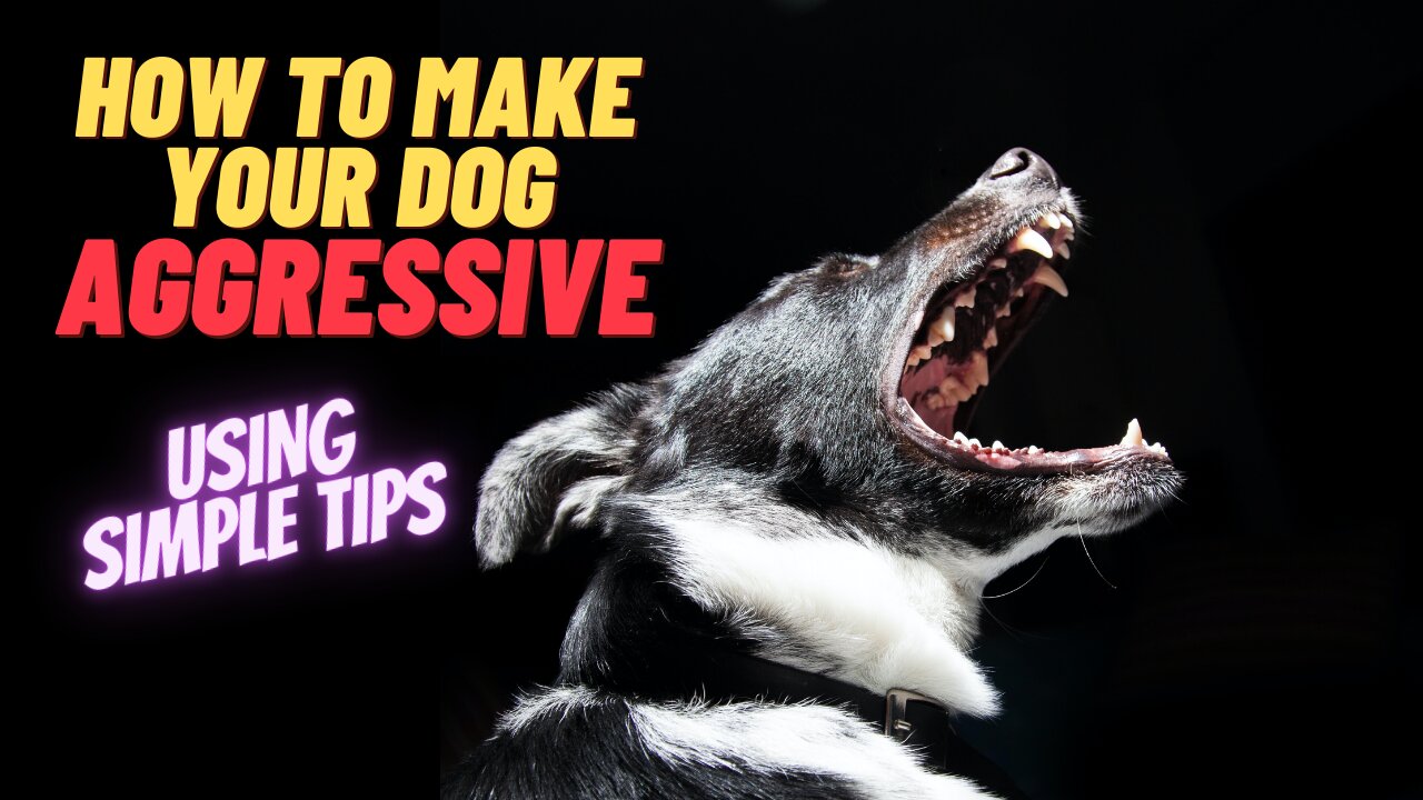 How to Make Your Dog Aggressive Instantly