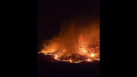 Dramatic Footage of Wildfire Spreading in Kelowna, British Columbia