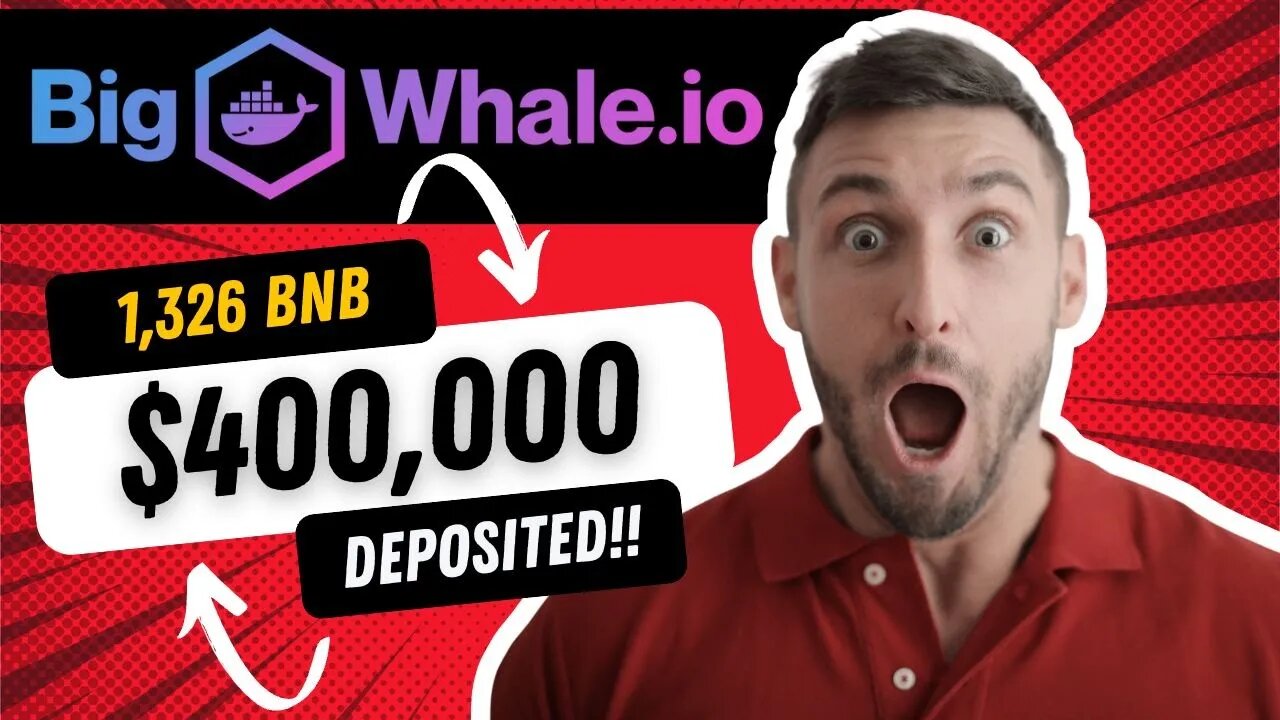 BigWhale.io Update | 1326 BNB and $400,000 in the Contract | Up to 2% Per Day!