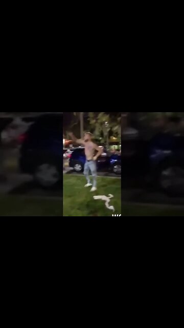 white boys fight it out