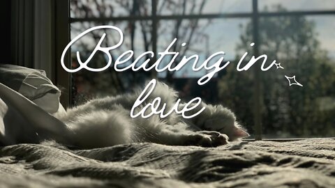 Beating in love