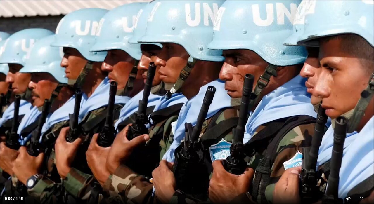 Reese Report - pakolaisten todelliset taustat