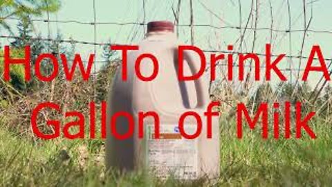 How To Drink A Gallon of Milk