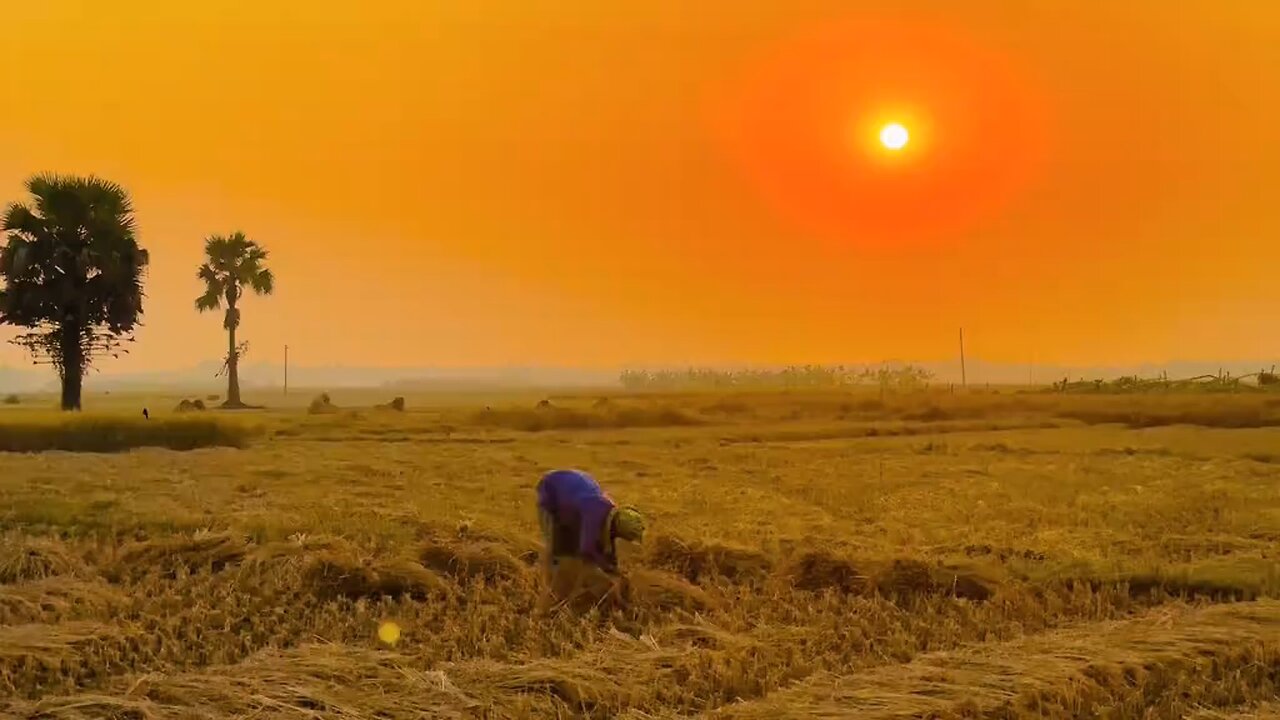 মানুষকে অবহেলা করবেন না যেকোনো সময় মানুষের পরিবর্তন হতে পারে