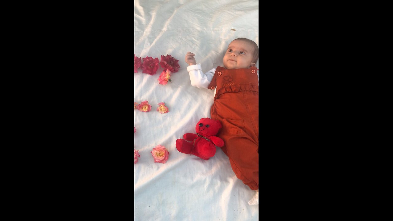 Dokhtaram❤️