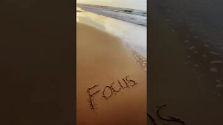Stay focused #shorts #youtubeshorts #beach