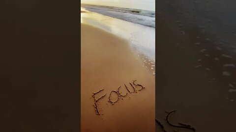 Stay focused #shorts #youtubeshorts #beach