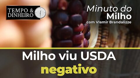 Milho viu USDA negativo