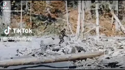 The Patterson Film