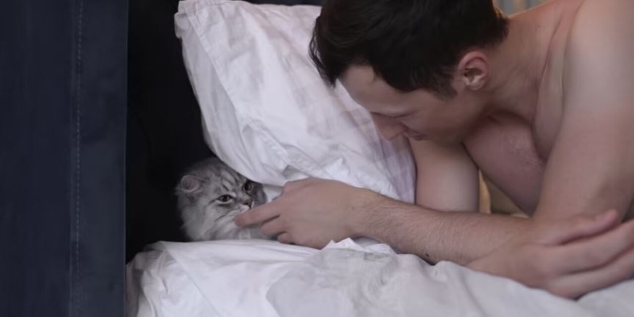 romantic lovers cat and man