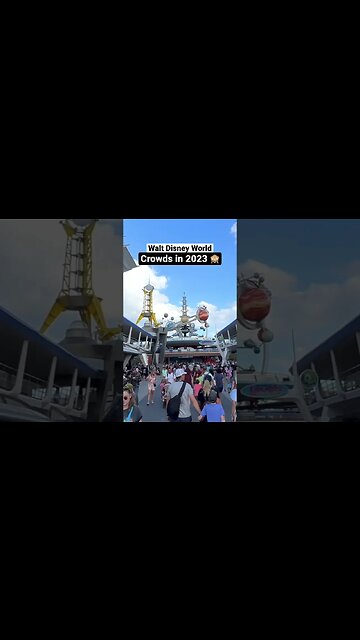 Where did they all come from? 🙈