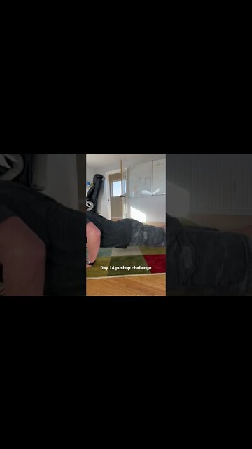 Day 14 pushup challenge