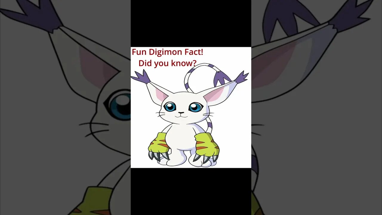 Fun Digimon Fact #1 Did You know this about Gatomon?