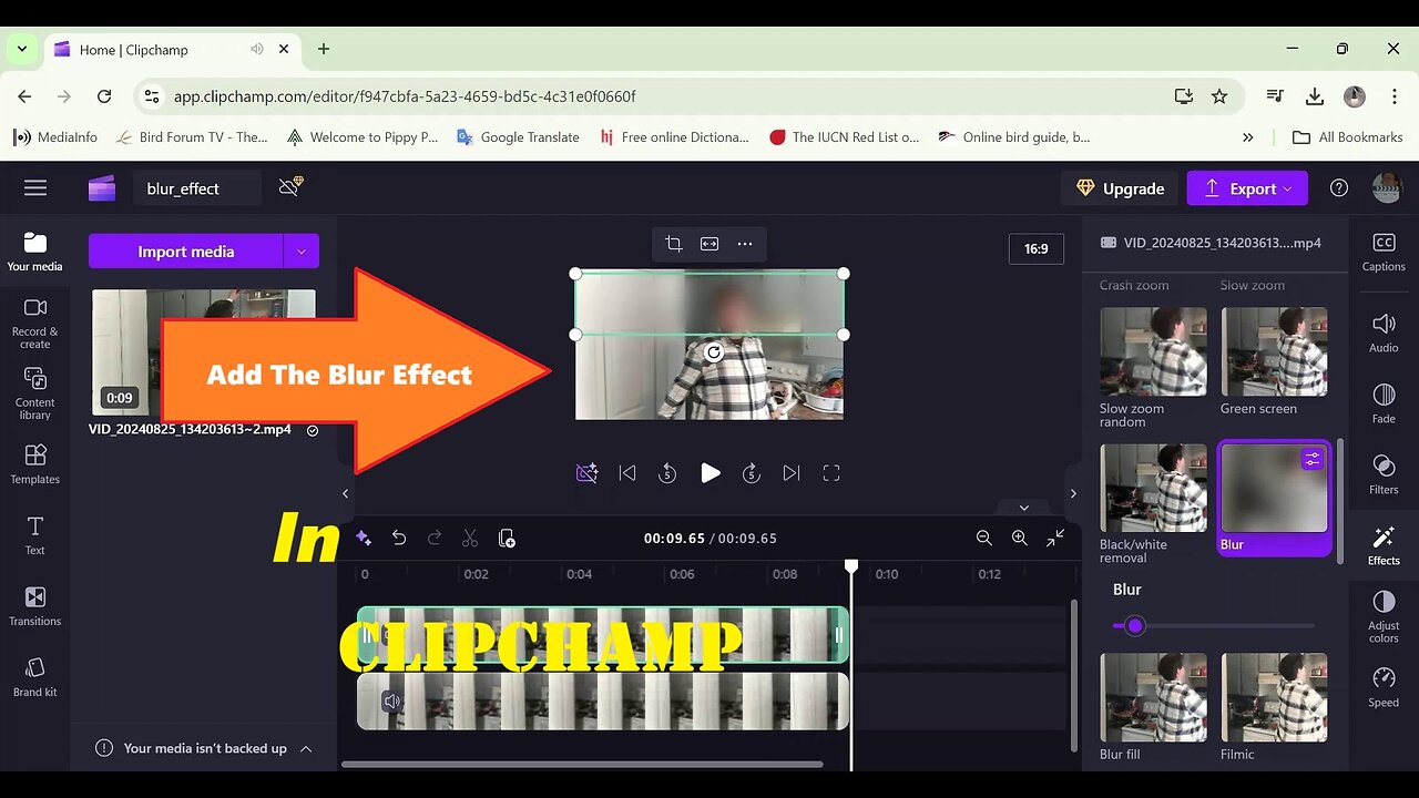 Add The Blur Effect In Clipchamp