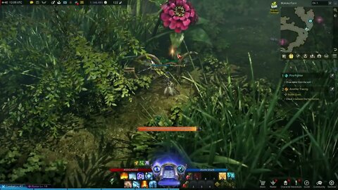 Lost Ark MMORPG Another Tracing