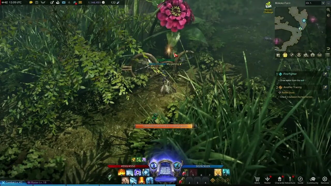 Lost Ark MMORPG Another Tracing