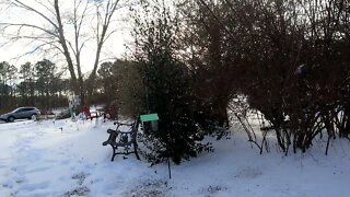 snowbirds 1