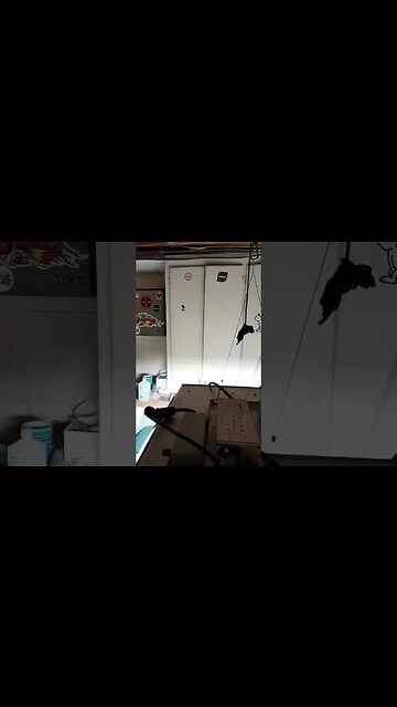 green room slaps #shorts #trending