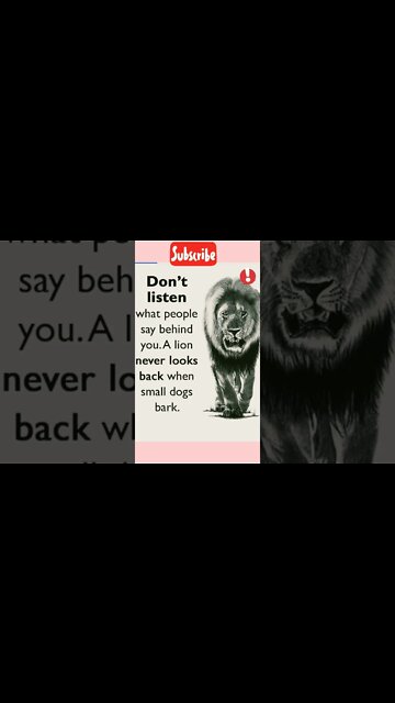 best quote of the day/motivational quotes #motivation #quotes #MEIL #life #inspiration