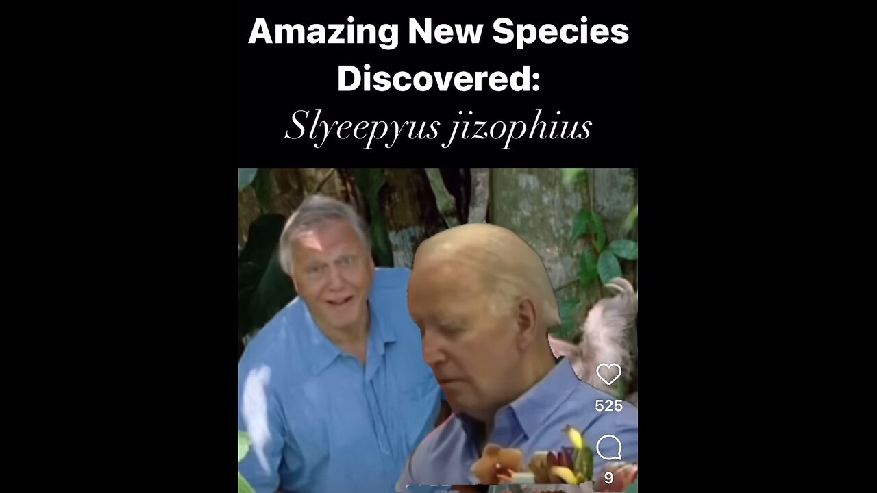 David Attenborough discovers a rare species