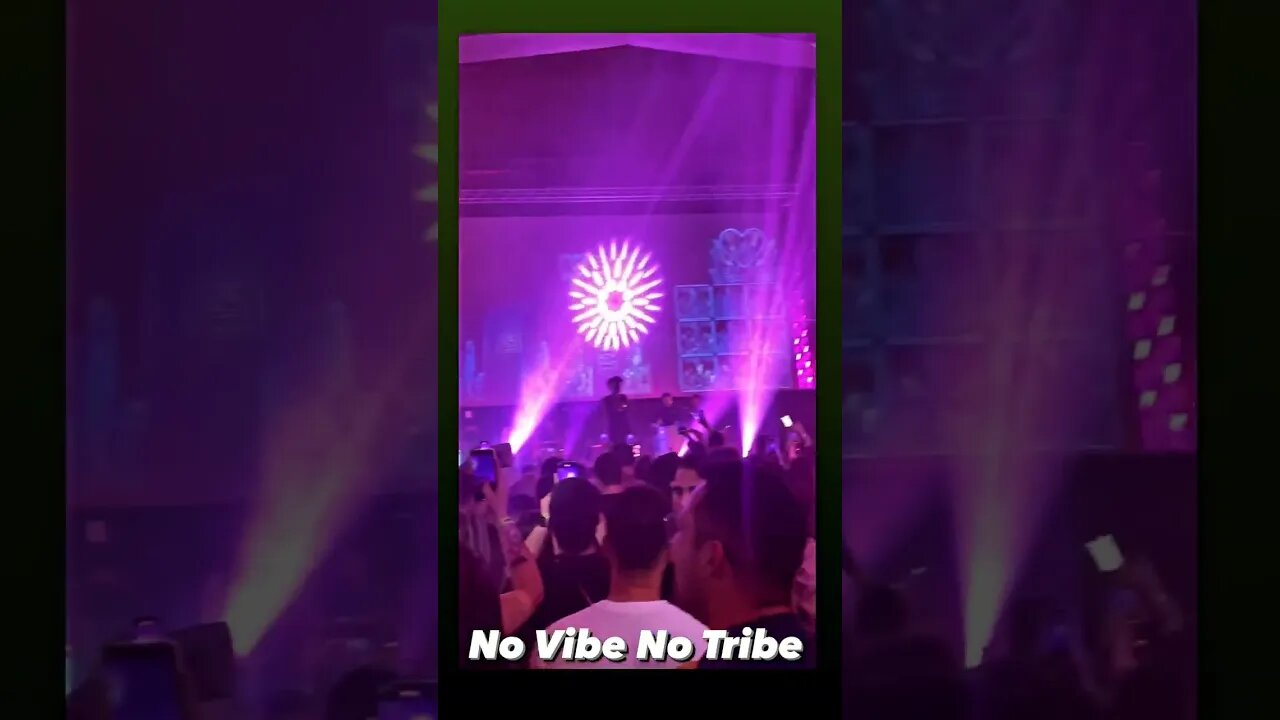 No Vibe No Tribe