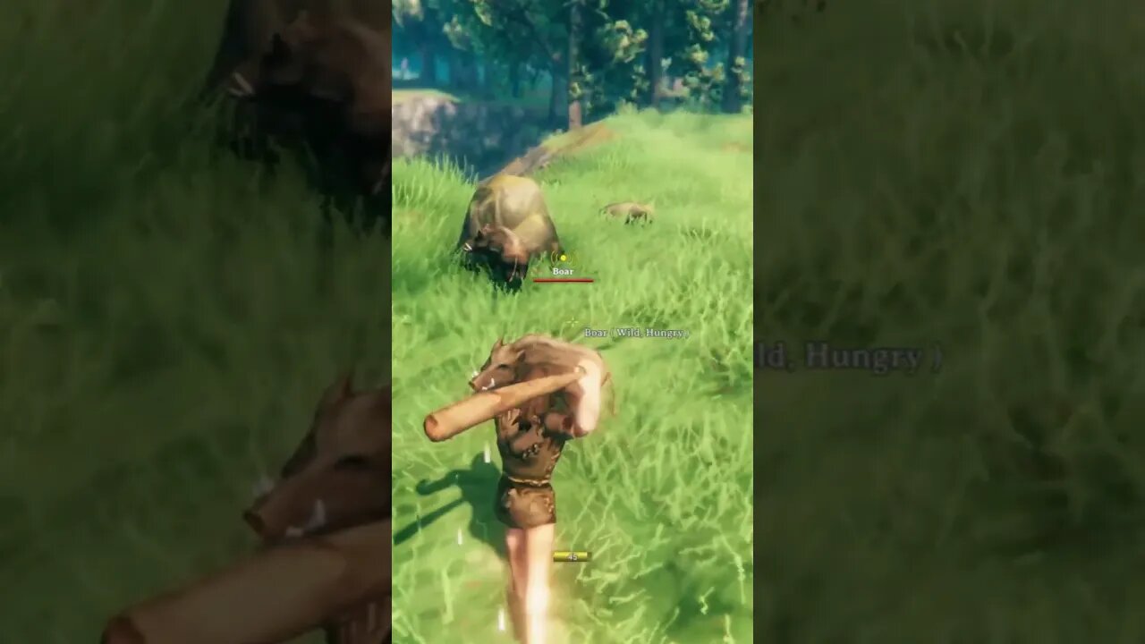 DON'T ANGER THE BOARS #valheim #short