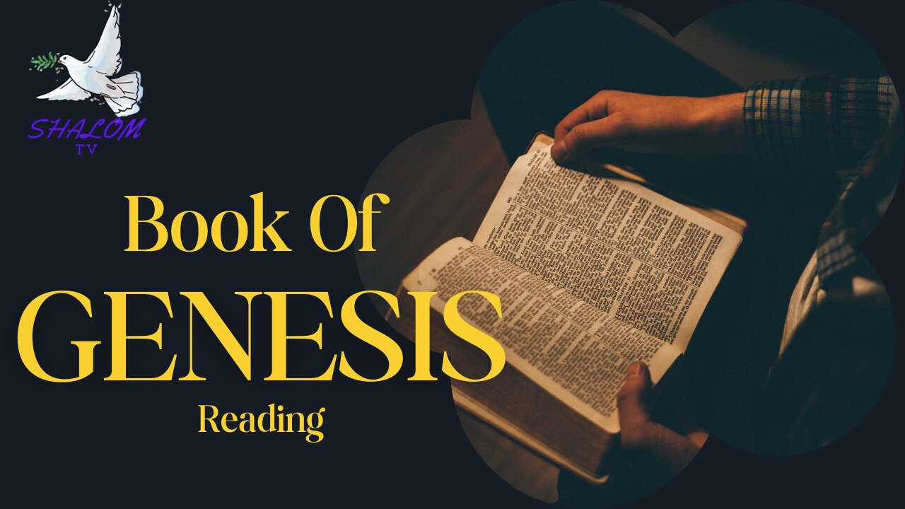 Complete Reading of Book of Genesis (NIV) | Full Book | Holy Bible