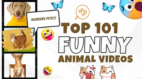 Top101 Funny Animal Videos