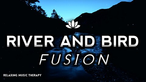 River and Birds Fusion Relaxation Sounds for sleeping | River sounds, water sounds, Nature Sounds