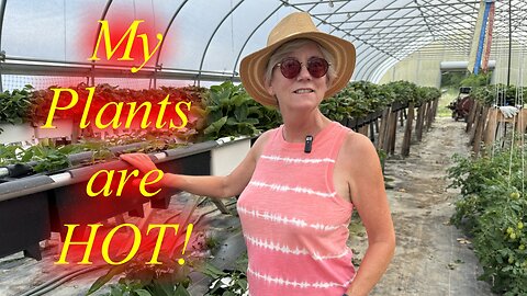 The Heat mistake KILLING your plants!