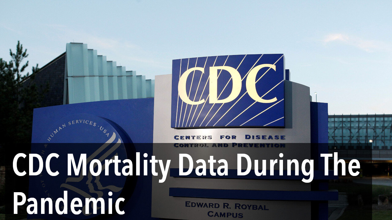 CDC Mortality Data During The Pandemic