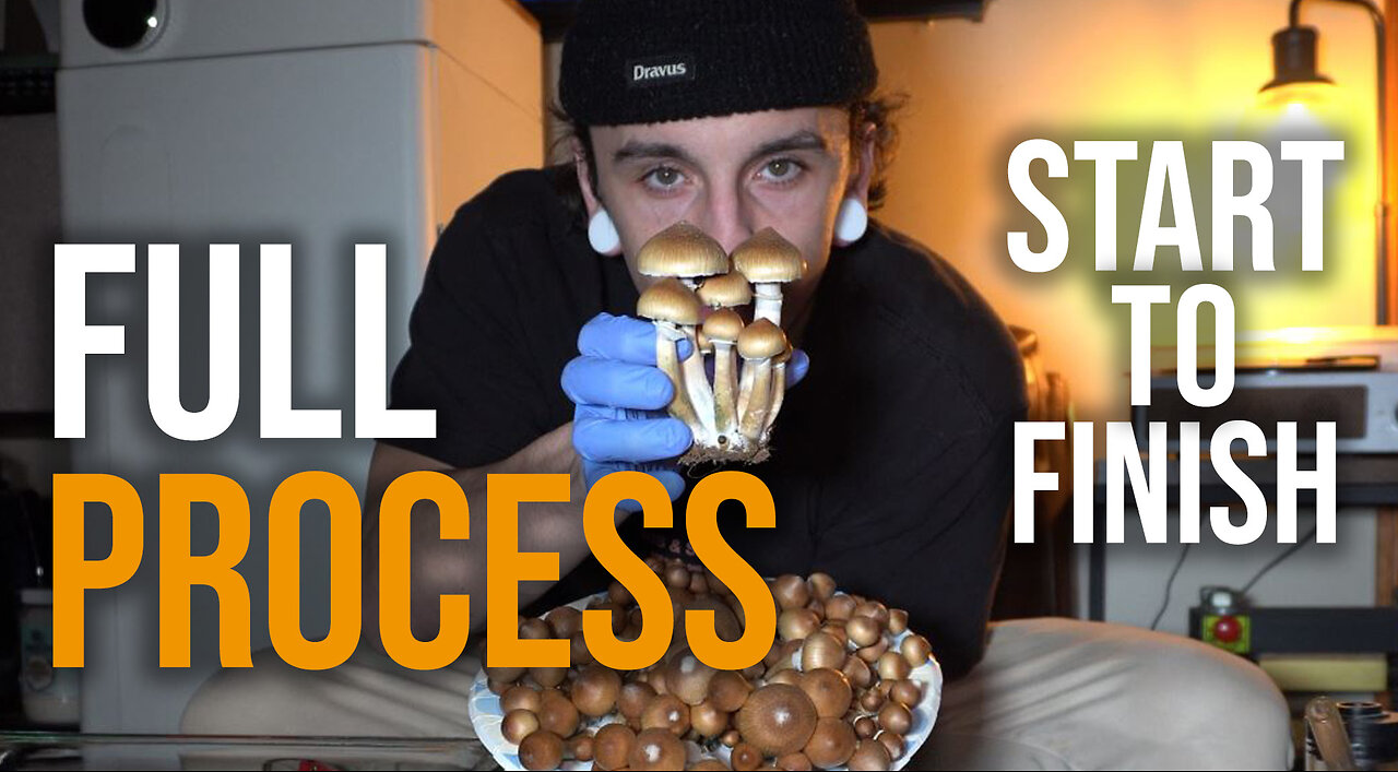 I Grew Magic Mushrooms At Home For The First Time